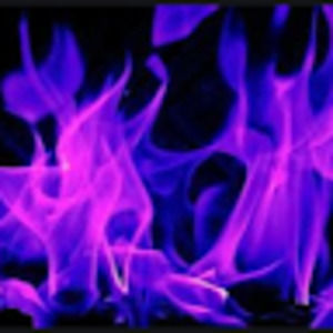 Meet your Posher, Scarlett